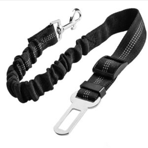 Seat Belt